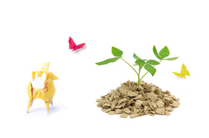 Summer Adventures with Eco-friendly Twists Part 4