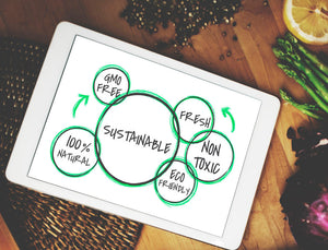 Summer Adventures with Eco-friendly Twists Part 3