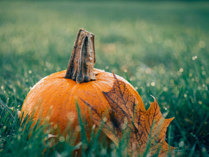 Fall Green Tips