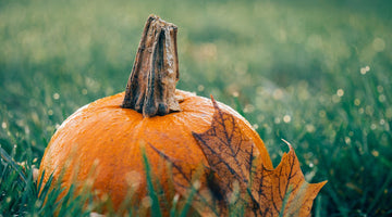 Fall Green Tips