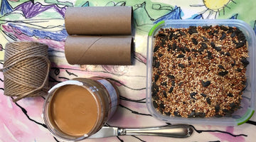 Engage Kids in Upcycling: DIY Bird Feeder