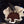 Load image into Gallery viewer, Eco Joe Coffee Filter set of 3